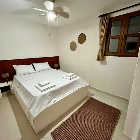 Mek Homes Historical Greek House And Sea View Apartment